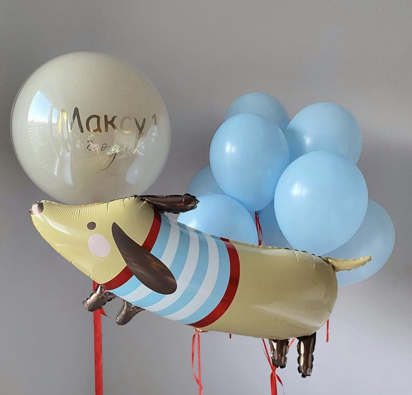 Готовое решение «Веселая такса»