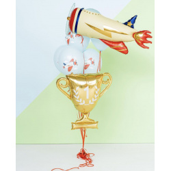 Композиция «Кубок для пилота»