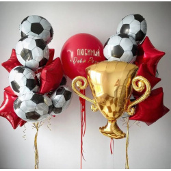 Готовое решение «Футбольный кубок»